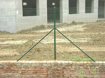 FzW